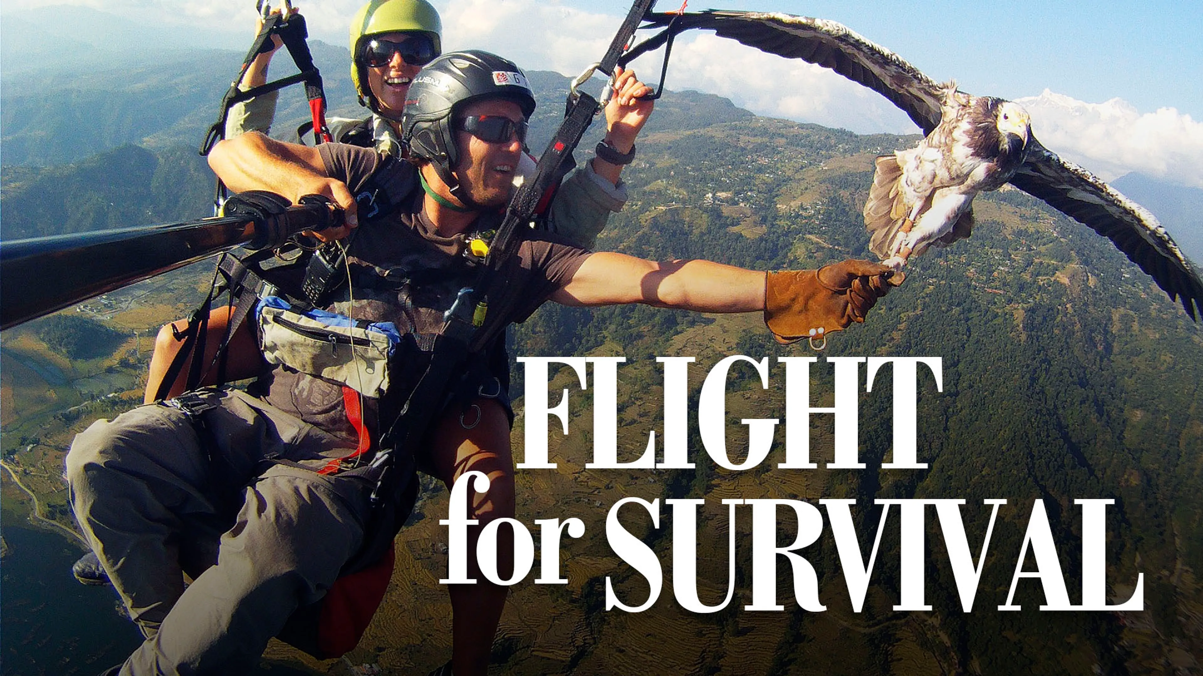 Flight for Survival poster